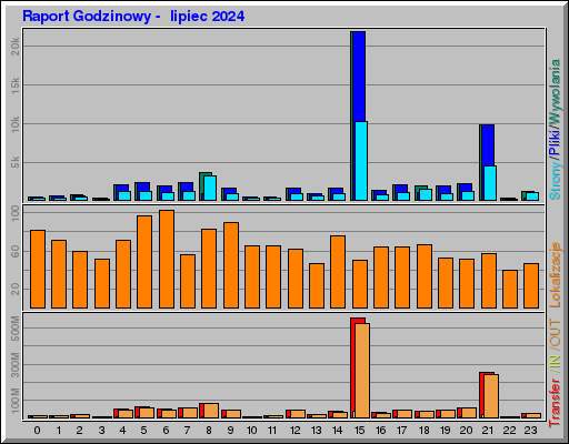 Raport Godzinowy -  lipiec 2024