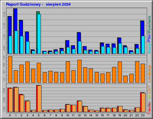 Raport Godzinowy -  sierpień 2024