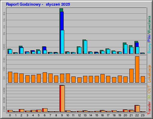 Raport Godzinowy - styczeĹ 2025 Raport Godzinowy - styczeĹ 2025
