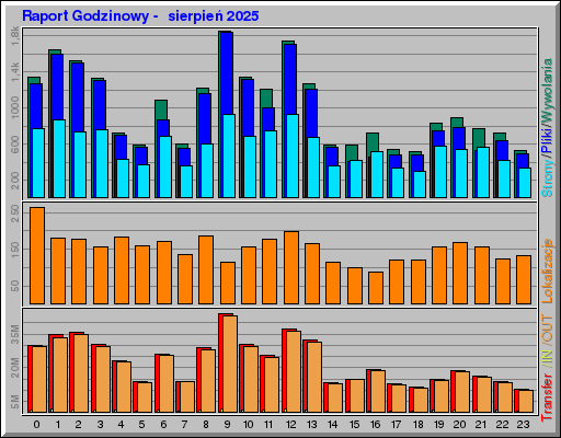 Raport Godzinowy -  sierpień 2025