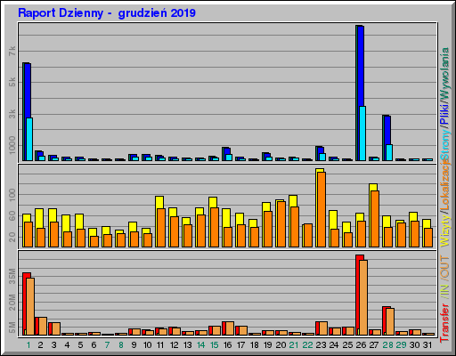 Raport Dzienny -  grudzień 2019