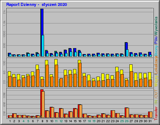 Raport Dzienny -  styczeń 2020