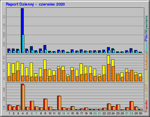 Raport Dzienny -  czerwiec 2020