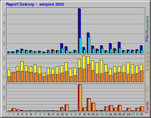 Raport Dzienny -  sierpień 2020