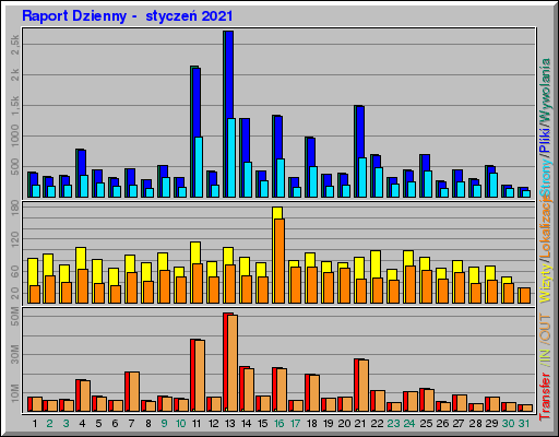 Raport Dzienny -  styczeń 2021