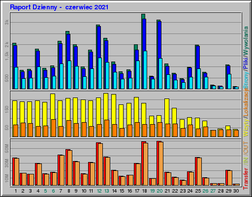 Raport Dzienny -  czerwiec 2021