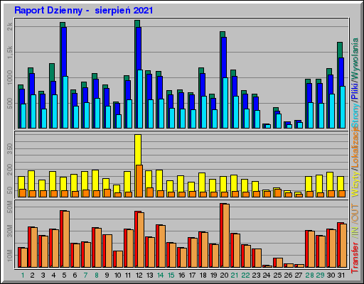 Raport Dzienny -  sierpień 2021