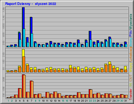 Raport Dzienny -  styczeń 2022
