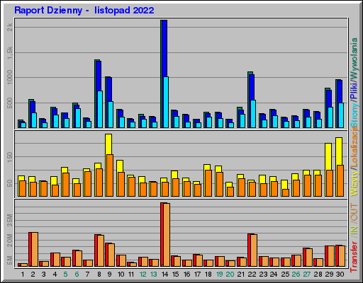 Raport Dzienny -  listopad 2022
