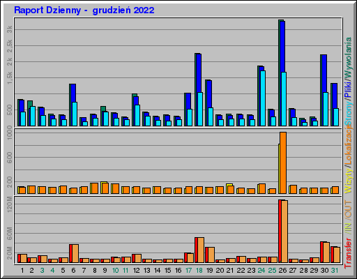 Raport Dzienny -  grudzień 2022