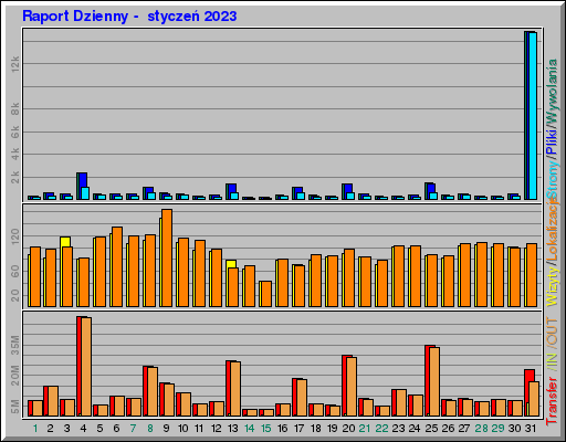 Raport Dzienny -  styczeń 2023