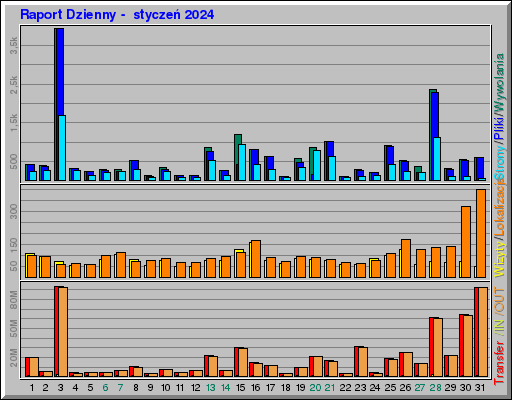 Raport Dzienny -  styczeń 2024
