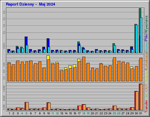 Raport Dzienny -  Maj 2024