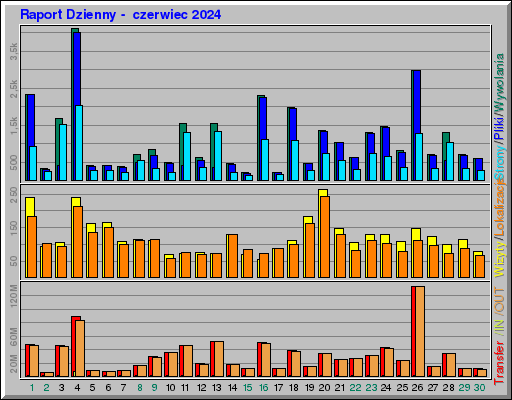 Raport Dzienny -  czerwiec 2024