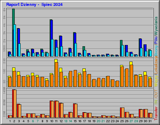 Raport Dzienny -  lipiec 2024