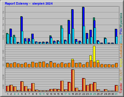 Raport Dzienny -  sierpień 2024