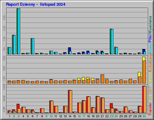 Raport Dzienny -  listopad 2024