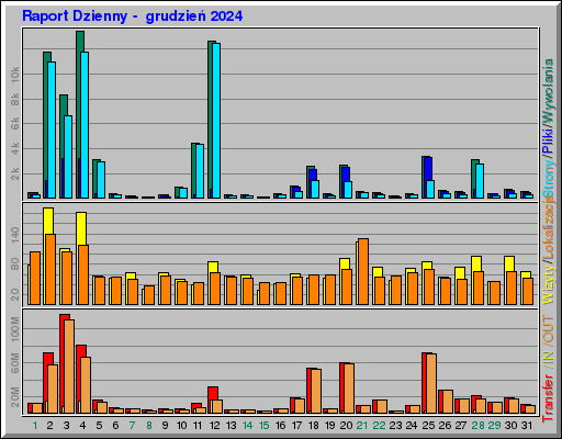 Raport Dzienny -  grudzień 2024