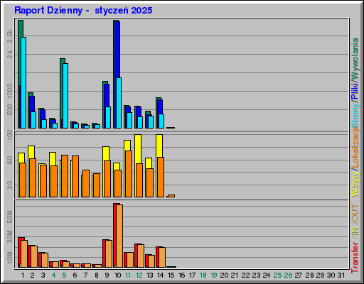 Raport Dzienny -  styczeń 2025