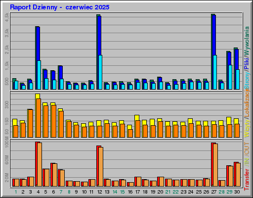 Raport Dzienny -  czerwiec 2025