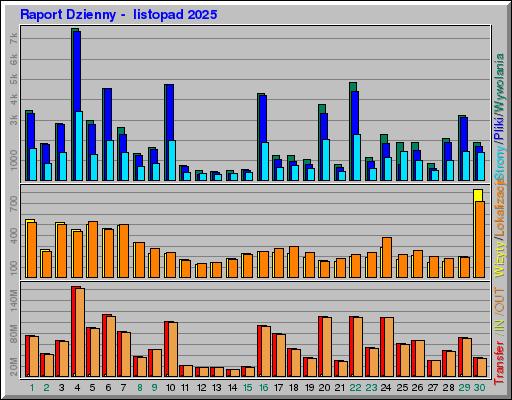 Raport Dzienny -  listopad 2025