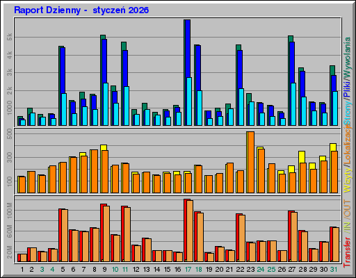 Raport Dzienny -  styczeń 2026