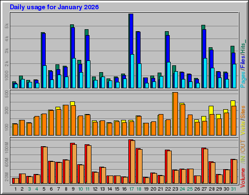 Raport Dzienny -  styczeń 2026