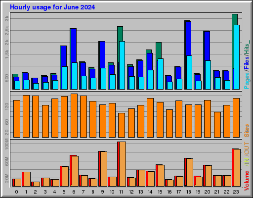 Raport Godzinowy -  czerwiec 2024
