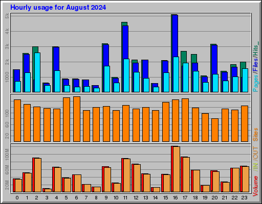 Raport Godzinowy -  sierpień 2024