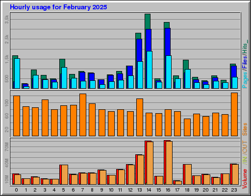 Raport Godzinowy -  luty 2025