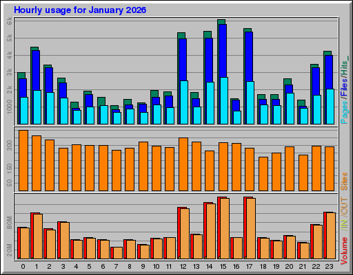 Raport Godzinowy -  styczeń 2026