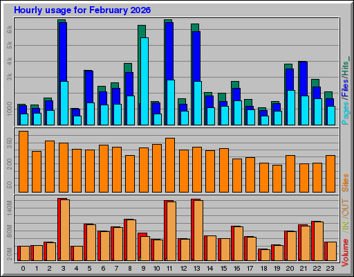 Raport Godzinowy - luty 2026 Raport Godzinowy - luty 2026