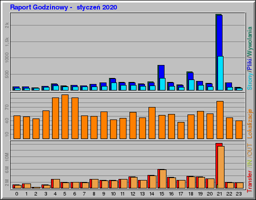 Raport Godzinowy -  styczeń 2020