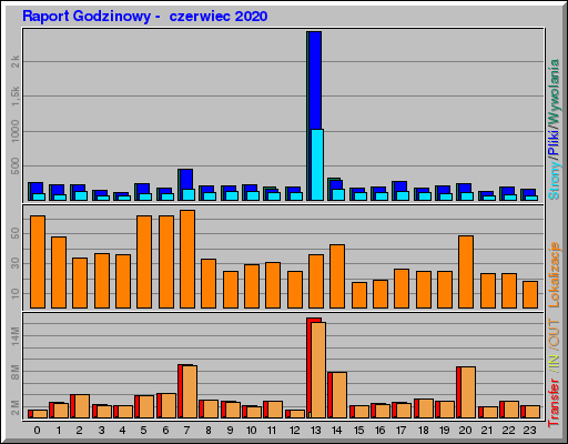 Raport Godzinowy -  czerwiec 2020