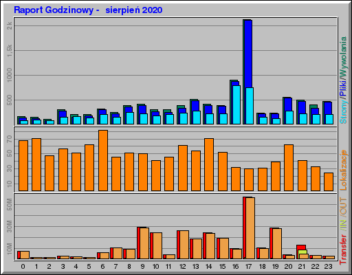 Raport Godzinowy -  sierpień 2020