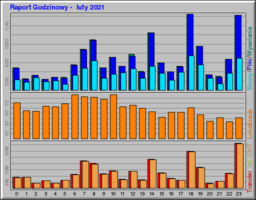 Raport Godzinowy -  luty 2021