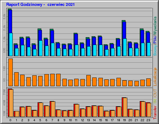 Raport Godzinowy -  czerwiec 2021