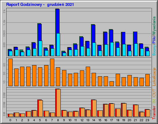 Raport Godzinowy -  grudzień 2021