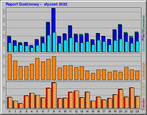 Raport Godzinowy -  styczeń 2022