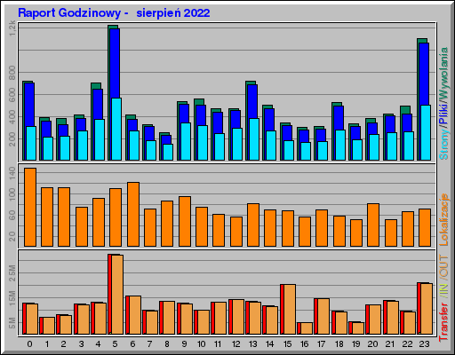Raport Godzinowy -  sierpień 2022