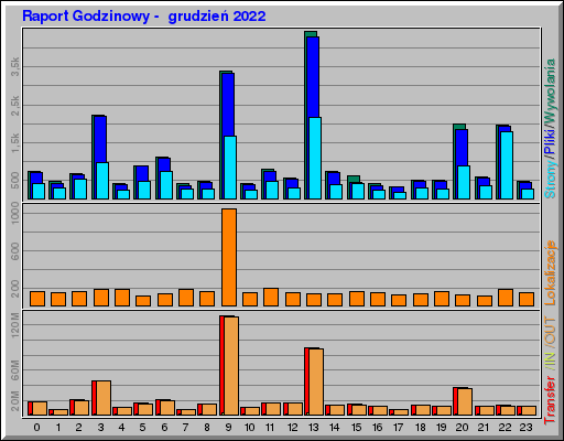 Raport Godzinowy -  grudzień 2022