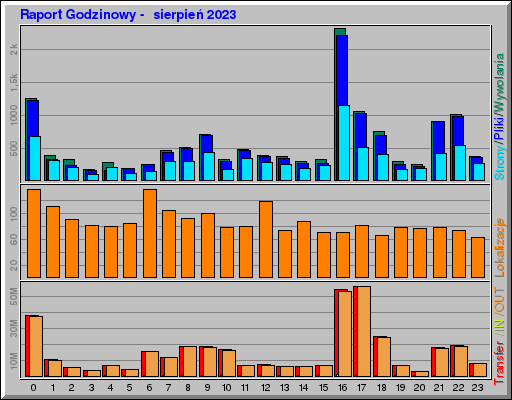 Raport Godzinowy -  sierpień 2023