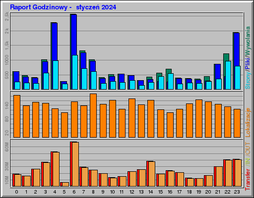 Raport Godzinowy -  styczeń 2024