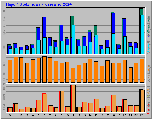 Raport Godzinowy -  czerwiec 2024