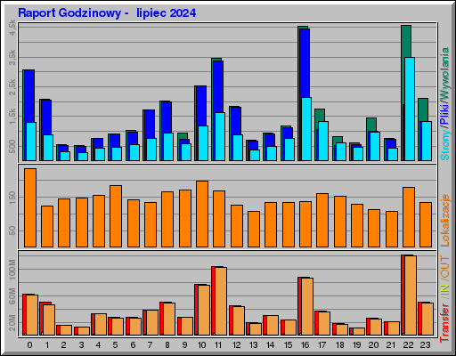 Raport Godzinowy -  lipiec 2024