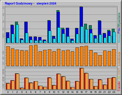 Raport Godzinowy -  sierpień 2024