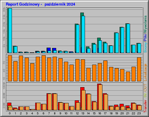 Raport Godzinowy -  październik 2024