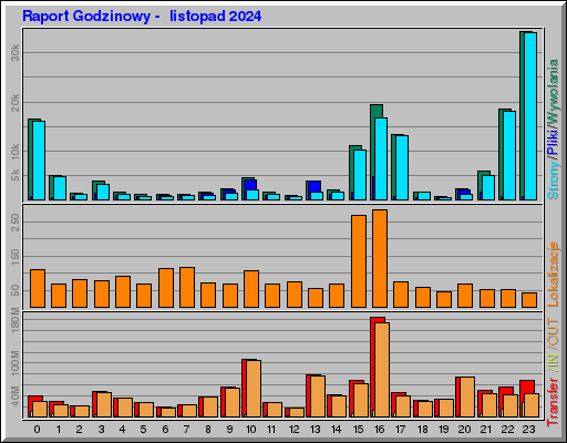 Raport Godzinowy -  listopad 2024