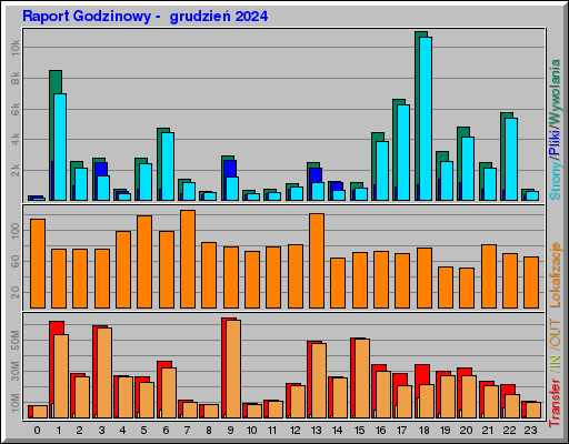 Raport Godzinowy -  grudzień 2024