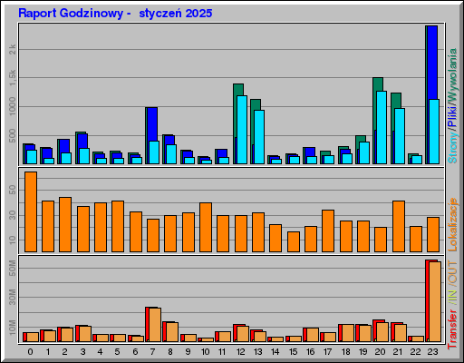 Raport Godzinowy -  styczeń 2025